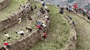 عداءة تنسحب بعد تسلقها 100 حقل أرز مدرج في مو كانغ تشاي.
