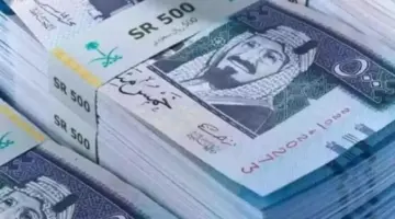 قبل موسم حج 2026.. سعر الريال السعودي اليوم مقابل الجنيه اليوم الاثنين 11 مايو