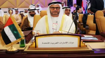 قرقاش: استهداف محطة براكة النووية عمل إرهابي وتصعيد خطير