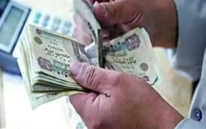 كل ما تحتاج معرفته عن معاشات شهر يونيو 2026.. المواعيد وطرق الاستعلام