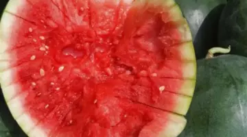 كيف تختار وصفة البطيخ الملائمة لنظامك الغذائي؟ نصائح لتحضير وجبات صيفية باردة