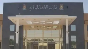 لجان حصر «الإيجار القديم» تعلن الأماكن المؤجرة لغرض السكنى بمحافظة الوادي الجديد
