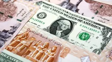 لو بتفكر تغير العملة.. اعرف سعر الدولار اليوم مقابل الجنيه المصري بكام