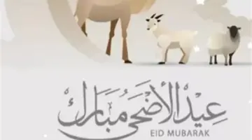متى تبدأ إجازة عيد الأضحى 2026؟ دليل وقفة عرفات وتوقيتات الصلاة فلكيًا