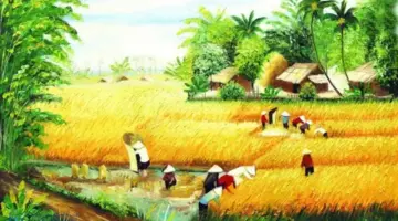 موسم الحصاد في قرية أجدادي