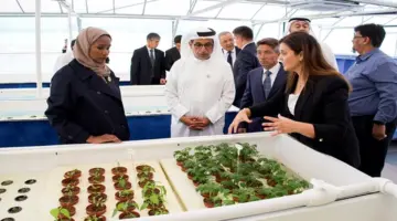 «أبوظبي للتنمية» شريك عالمي فاعل في تعزيز جهود التنمية عبر مشروع رائد بأوزبكستان