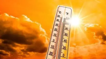 أخبار الطقس اليوم الجمعة في مصر.. الأرصاد تحذر من 3 ظواهر خطيرة