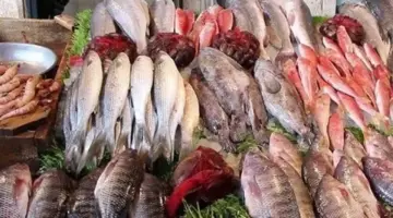 أسعار السمك والجمبري اليوم الاثنين 22 يونيو 2026