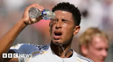 اخبارك نت | كأس العالم 2026: علماء بارزون يحذرون من خطورة الطقس الحار على اللاعبين