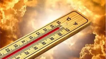 ارتفاع نسب الرطوبة ورياح وشبورة كثيفة.. الأرصاد تكشف حالة الطقس غدًا السبت