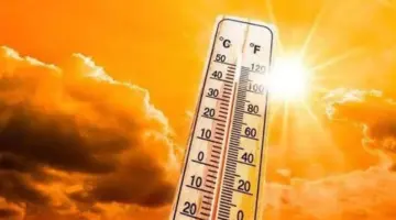 الأرصاد تحذر: أجواء شديدة الحرارة ورياح وشبورة غدًا على عدد من المناطق