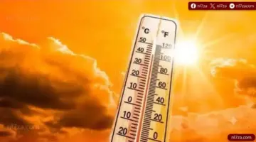 الأرصاد تحذر من شبورة ورياح وارتفاع الرطوبة حتى الخميس