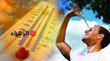 الأرصاد تدق ناقوس الخطر.. موجة شديدة الحرارة وتحذيرات للسائقين صباحًا