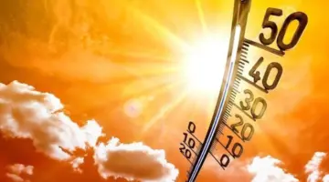 الأرصاد تعلن تفاصيل طقس الـ 5 أيام المقبلة.. أجواء شديدة الحرارة ورياح