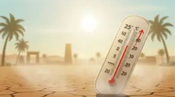 الأرصاد تكشف تفاصيل طقس الأحد وتحذر من ارتفاع الرطوبة والشبورة المائية
