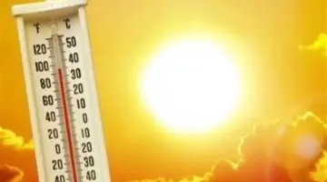 الأرصاد تكشف طقس الجمعة 19 يونيو 2026.. أجواء شديدة الحرارة وشبورة صباحية