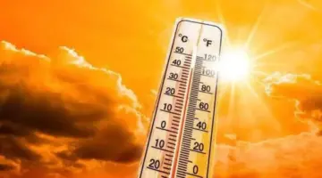 الأرصاد: طقس اليوم شديد الحرارة ونشاط ملحوظ للرياح.. والعظمى بالقاهرة 36