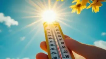 الأرصاد : غدا طقس حار رطب نهارا معتدل رطب ليلا والعظمى بالقاهرة 33