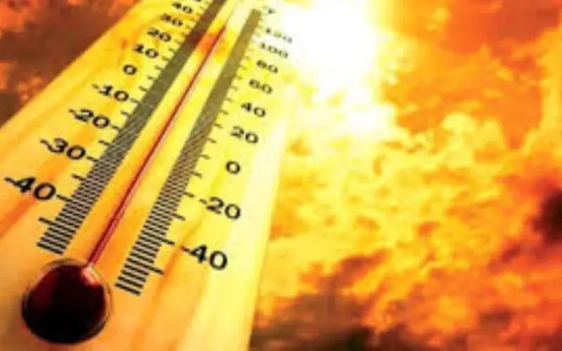 الطقس غدا.. أجواء شديدة الحرارة ورطوبة مرتفعة والعظمى بالقاهرة 36 درجة