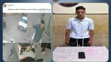 القبض على عامل متهم بسرقة هاتف فتاة بأسلوب الخطف في البحيرة