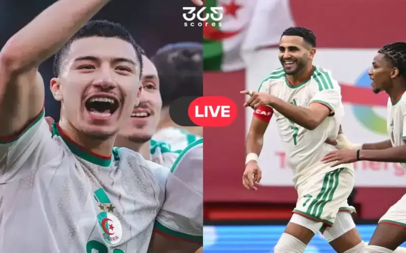 بث مباشر.. مشاهدة مباراة منتخب الجزائر وهولندا الودية الآن قبل كأس العالم