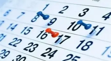 بعد إعلان الخميس عطلة رسمية.. تعرف على الإجازات المتبقية في 2026