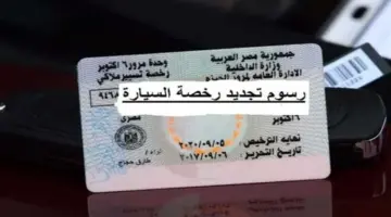 تجديد رخصة السيارة 2026.. الأوراق المطلوبة وخطوات التجديد إلكترونيًا