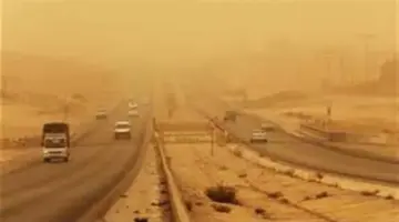 تحذيرات لمرضى الحساسية والجيوب الأنفية.. 20 مدينة تنشط فيها الرمال والأتربة اليوم