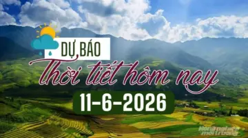 توقعات الطقس لليوم، 11 يونيو 2026: أمطار وعواصف رعدية في العديد من المناطق.