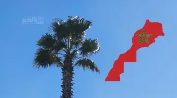 توقعات طقس المغرب غدا الأربعاء.. حرارة وغبار ورياح قوية