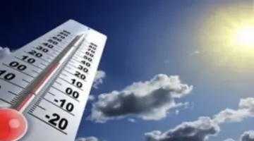 حالة الطقس اليوم الجمعة.. أجواء حارة ورطوبة مرتفعة وشبورة صباحية مؤثرة