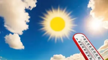 حالة الطقس اليوم الخميس.. الأرصاد تكشف التفاصيل