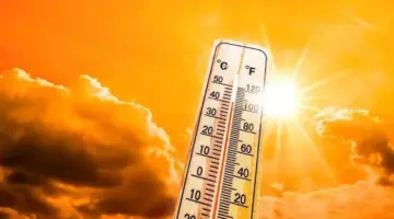 حالة الطقس غدًا.. شبورة كثيفة وارتفاع الإحساس بالحرارة