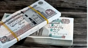 رابط مباشر.. خطوات الاستعلام عن معاش تكافل وكرامة يونيو 2026
