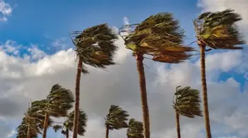 رياح قوية مرتقبة بطنجة-أصيلة.. الأرصاد الجوية تصدر نشرة إنذارية من مستوى برتقالي – إيكوبريس