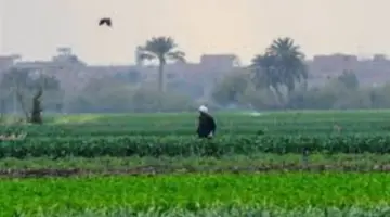 سحب تلطف الأجواء ونشاط للرياح، حالة الطقس غدا الثلاثاء