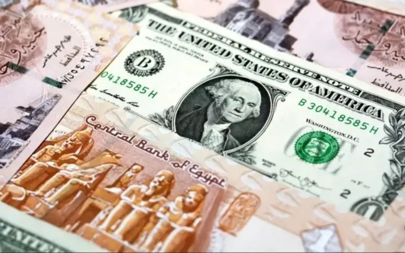 سعر الدولار اليوم الاثنين 1 يونيو 2026 في البنوك.. آخر تحديث