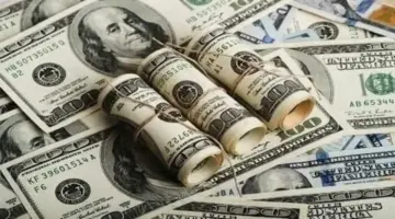 سعر الدولار مقابل الجنيه في منتصف تعاملات اليوم الأربعاء