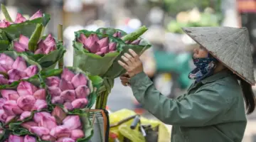 طقس اليوم (15 يونيو): ستشهد شمال فيتنام حرارة شديدة خلال النهار، مع عواصف رعدية في المساء.