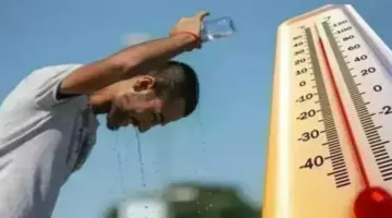 طقس اليوم الأحد 28 يونيو 2026.. الأرصاد تحذر من الشبورة المائية وتكشف درجات الحرارة بالمحافظات