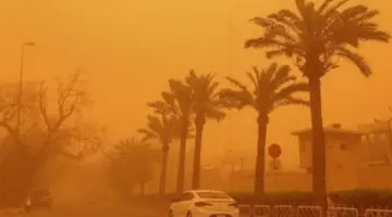 طقس اليوم رمال مثارة بحلايب وشلاتين والرؤية تهبط لأقل من ألف متر