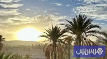 طقس حار وزخات رعدية في المملكة