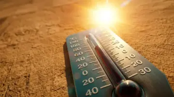 عاجل: الأرصاد تُعلن انفجار درجات الحرارة في مصر.. وتحذير من شبورة خطيرة تهدد الطرق في الصباح!