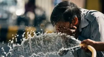 عاجل: الأرصاد تُعلن كارثة بيئية – الشبورة تلاحقكم مع حرارة جارّة تصل لـ38°!