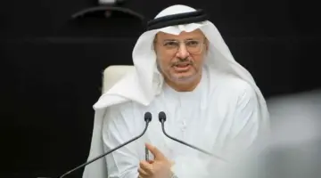 قرقاش لعمرو موسى: لا يمكن تجاهل العدوان الإيراني في أي مقاربة جادة لمستقبل المنطقة
