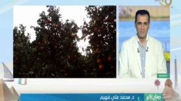 مركز معلومات تغير المناخ يعلن انتهاء”الهدنة الجوية”وحالة الطقس الفترة القادمة