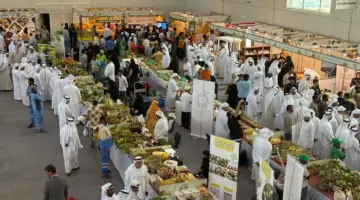 مهرجان خورفكان للمانجو يختتم فعاليات موسمه الخامس بنجاح لافت