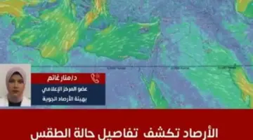 موجة حارة جديدة وارتفاع بالرطوبة.. الأرصاد تكشف تفاصيل حالة الطقس.. فيديو