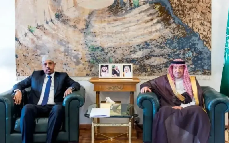 نائب وزير الخارجية يستقبل سفير الصومال لدى السعودية – أخبار السعودية