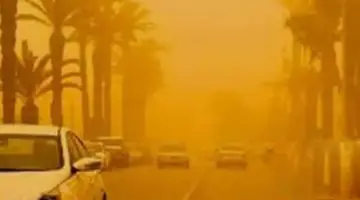 نشاط رياح بسرعة تصل لـ 45 كم/س وأمطار.. الأرصاد الجوية تكشف كواليس طقس الساعات المقبلة